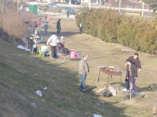Angajaţii de la Mediu caută grătarele ilegale prin parcuri